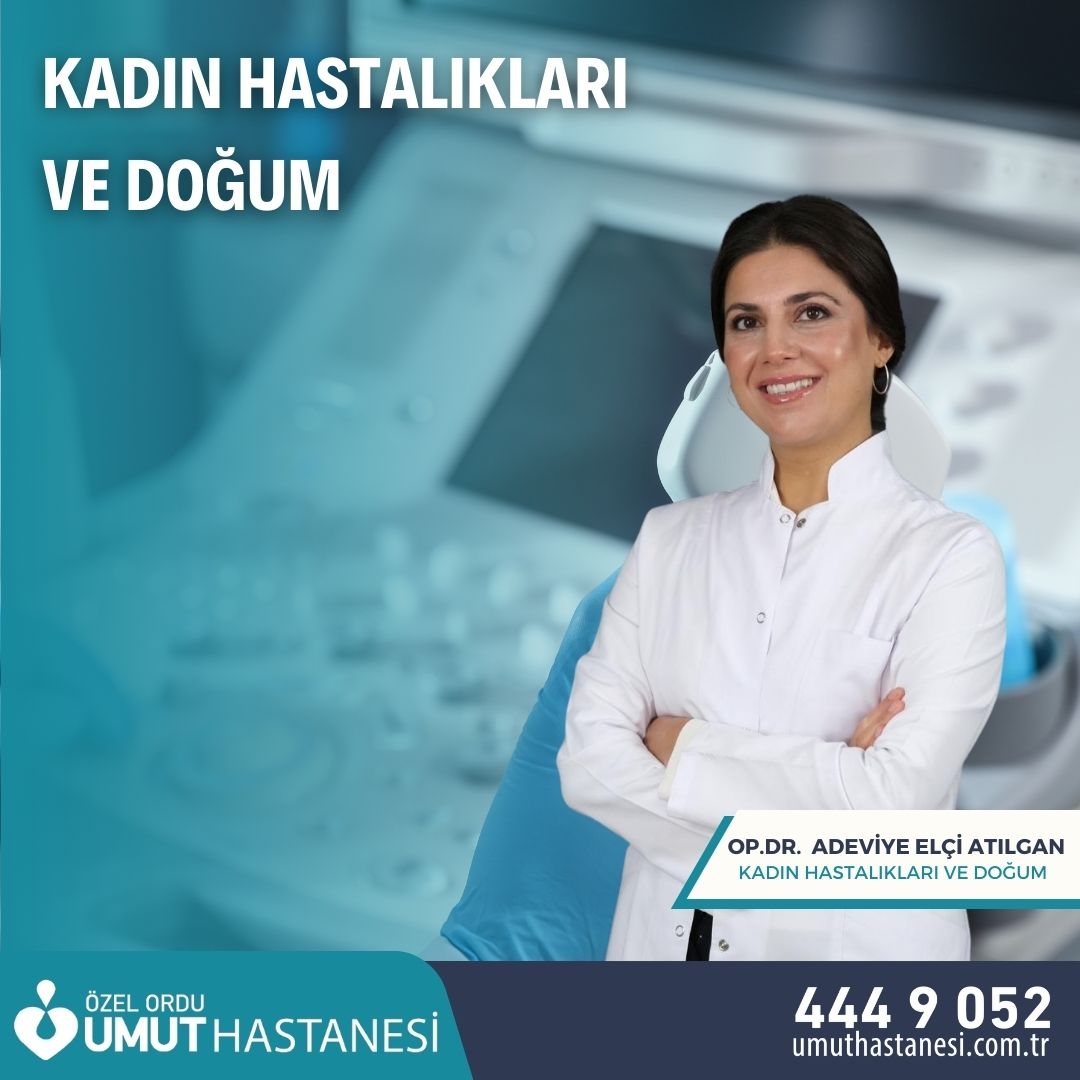 Doç.Dr.Adeviye Elçi ATILGAN